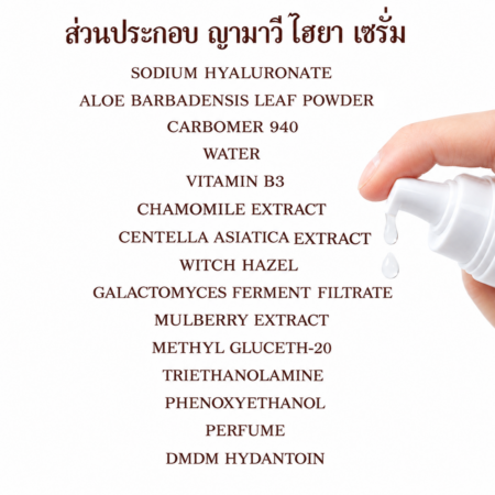 ํYamaVee ส่วนประกอบ